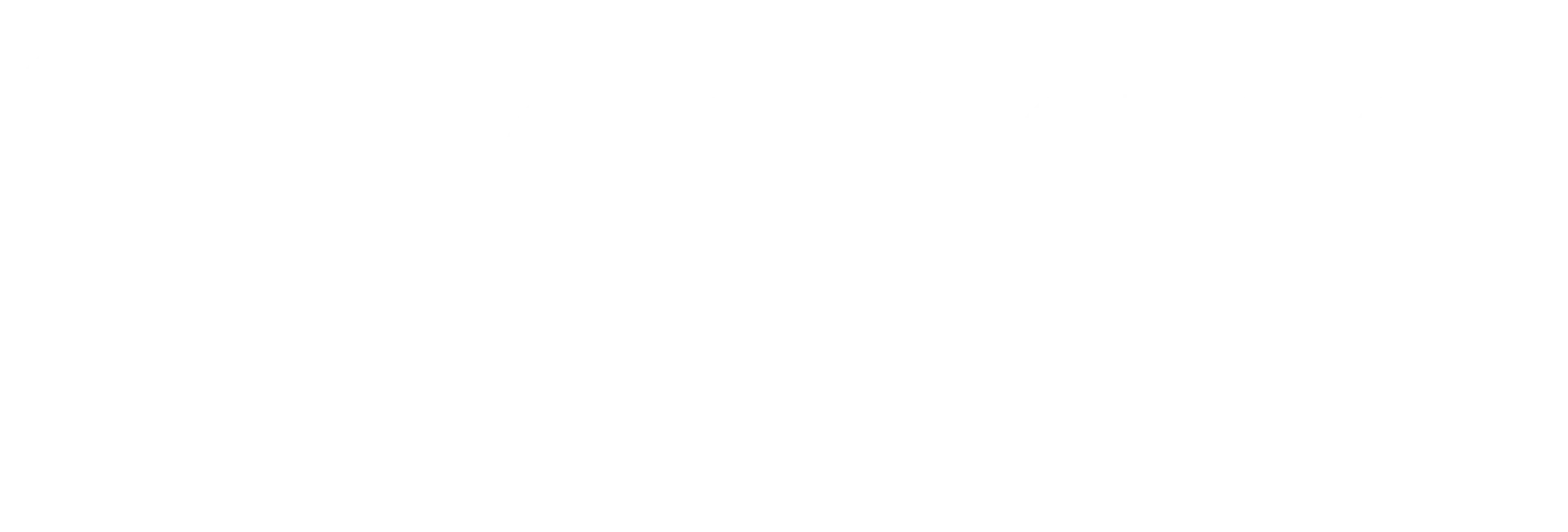 Sunderland City Council White Logo